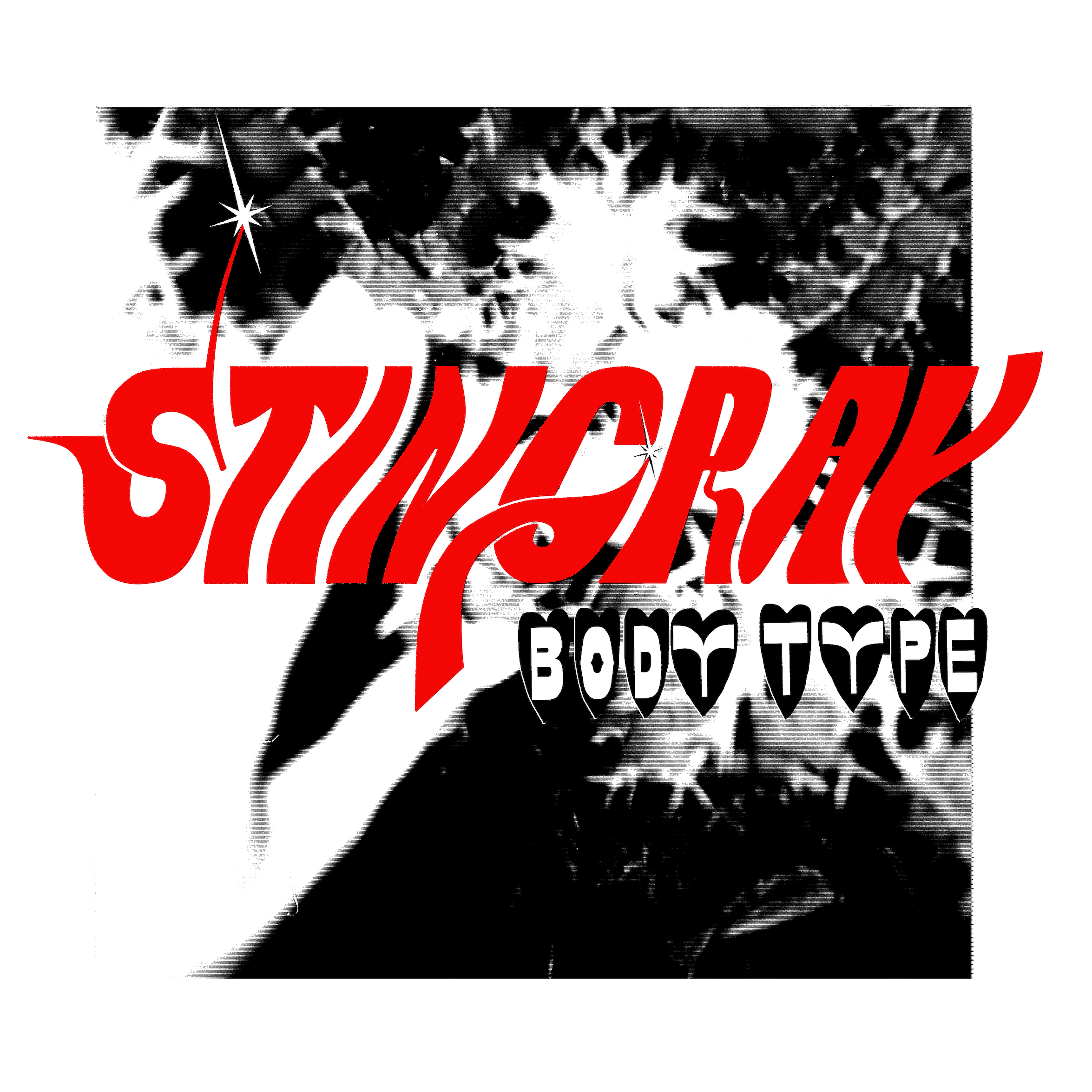 Body Type_Stingray
